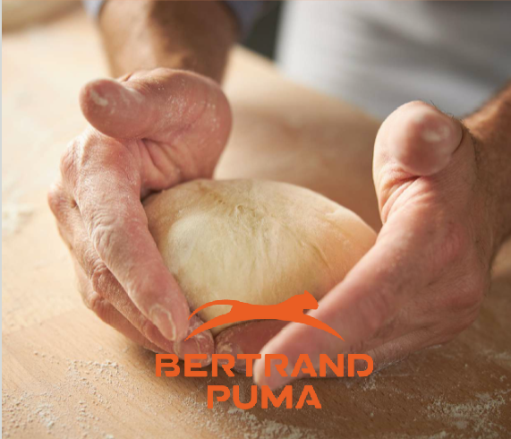 Bertrand Puma robust dough handling equipment